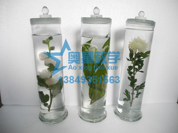  如何清洗生物切片標(biāo)本的玻片？