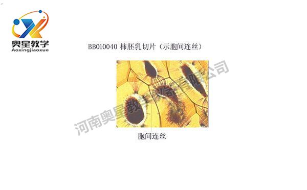 植物學標本廠家解析顯微鏡的日常保養(yǎng)