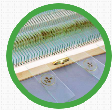 為什么生物切片標本制作會不合格？